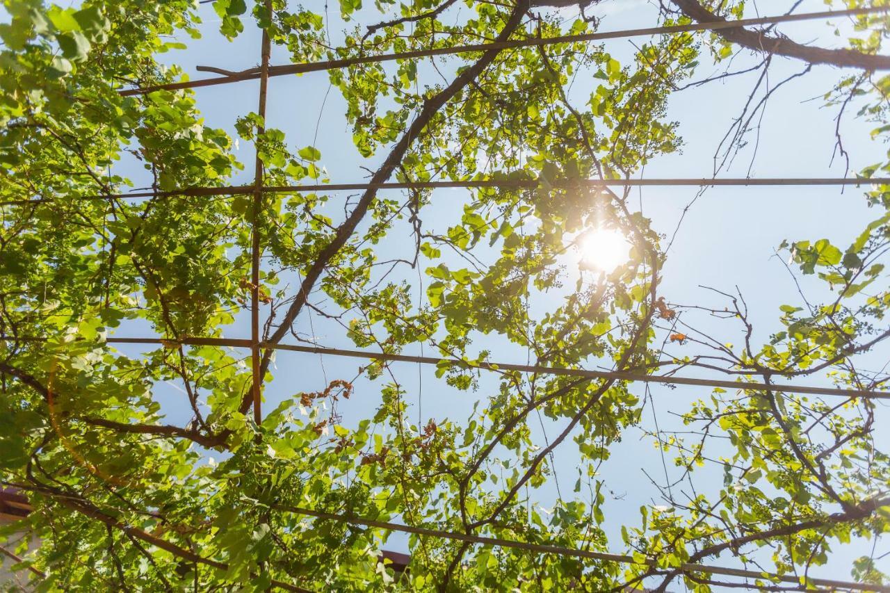 فندق Mereti بورجومي المظهر الخارجي الصورة